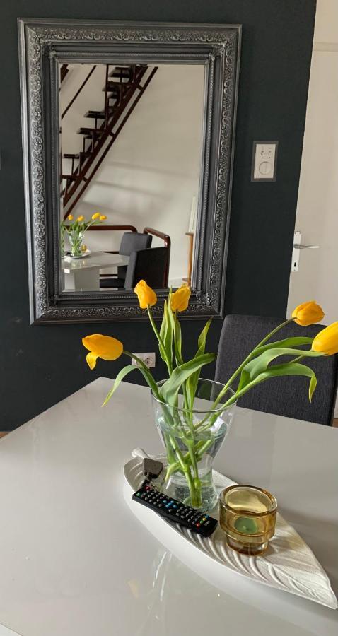 Pančevo Guesthouse Vladimir & Ana מראה חיצוני תמונה