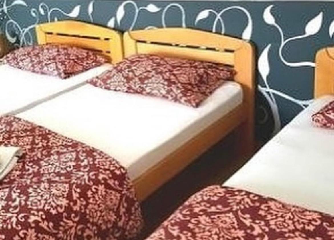 Pančevo Guesthouse Vladimir & Ana מראה חיצוני תמונה