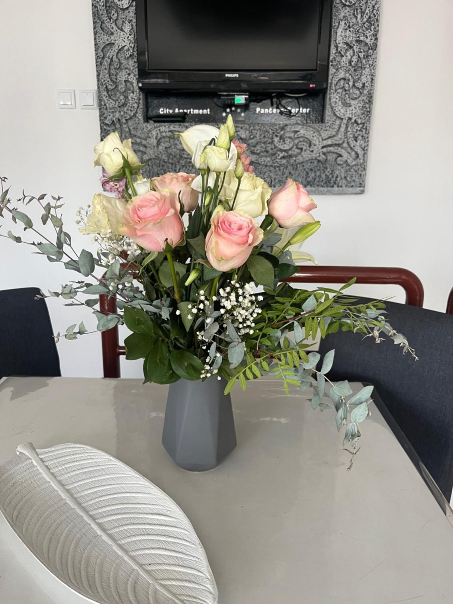 Pančevo Guesthouse Vladimir & Ana מראה חיצוני תמונה